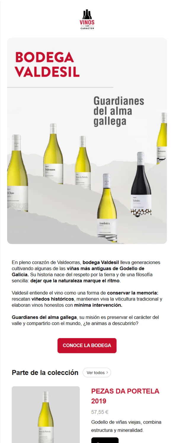 Campaña de email marketing, pieza 4