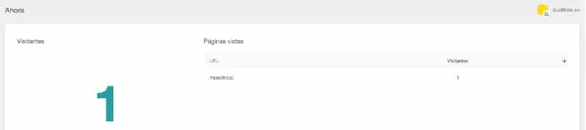Ver numero de visitantes en tiempo real en Metricool